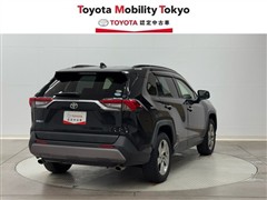 RAV4 G