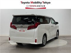 アルファードSタイプゴールド2