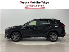 RAV4 HV G