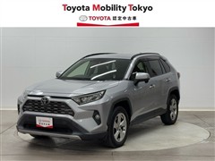 RAV4 G