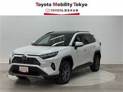 ＲＡＶ４