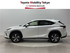 NX300h バージョンL