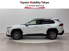 RAV4 G