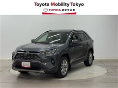 ＲＡＶ４
