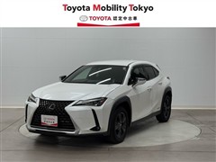 UX250h バージョンC