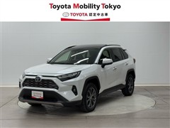 ＲＡＶ４