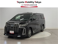 トヨタアルファードEX スペーシャスラウンの中古車