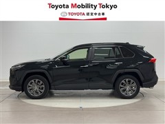 RAV4 HV G