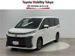ヴォクシーWEL HVS-Gタイプ1