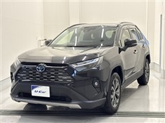 ＲＡＶ４
