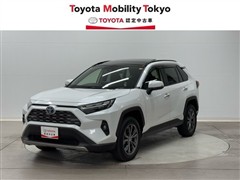 ＲＡＶ４