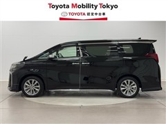 アルファードSタイプゴールド3