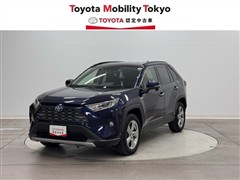 RAV4 HV G
