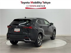 NX300h バージョンL