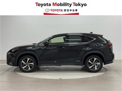 NX300h バージョンL