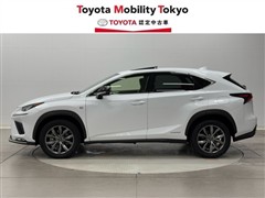 NX300h Fスポーツ