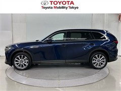 CX-80 XDエクスクルーシブﾞM