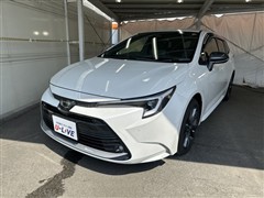 トヨタ カローラツーリング ダブルバイ