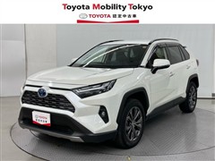 ＲＡＶ４