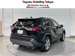 RAV4 G