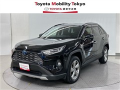 RAV4 HV G