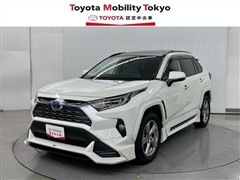ＲＡＶ４
