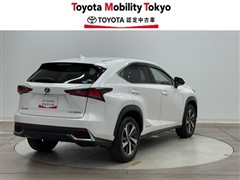 NX300h Iパッケージ