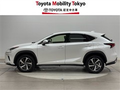 NX300h Iパッケージ