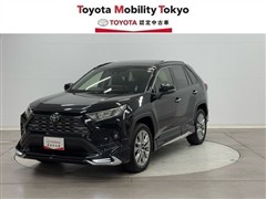 RAV4 G Zパッケージ