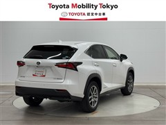 NX300h バージョンL