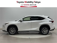 NX300h バージョンL