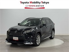 RAV4 G Zパッケージ
