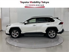 RAV4 G