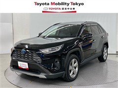 ＲＡＶ４