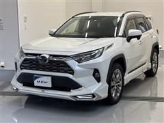 RAV4 G Zパッケージ