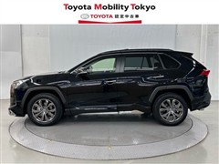 RAV4 G