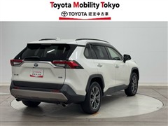 RAV4 HV G