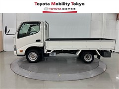 ダイナ ジャストロー