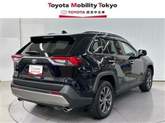 RAV4 G