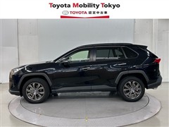 RAV4 G