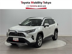 RAV4 HV G