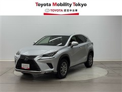 NX300h Iパッケージ