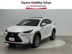 NX200 Iパッケージ