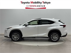 NX200 Iパッケージ