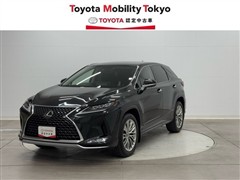 RX300 バージョンL