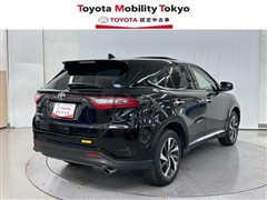 ハリアー プログレス