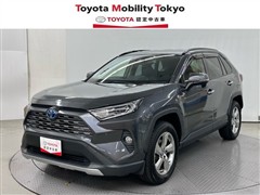 RAV4 ハイブリッドG