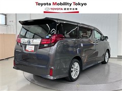 アルファードSキントアップグレート