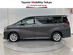 アルファードSキントアップグレート