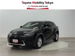 UX250h バージョンC